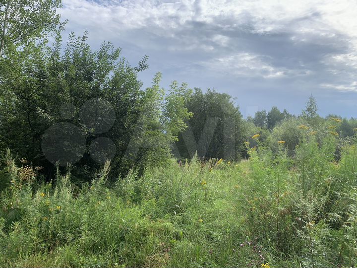 Участок 20 сот. (СНТ, ДНП)