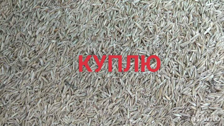 Семена травы