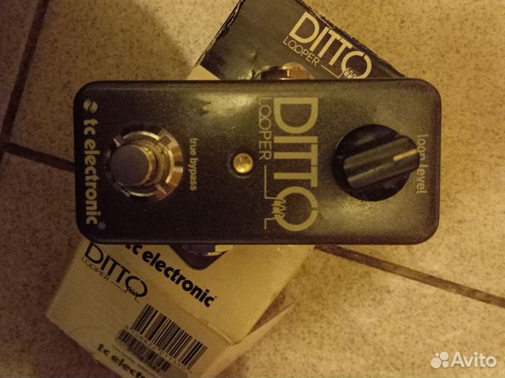 Ditto looper TC electronic