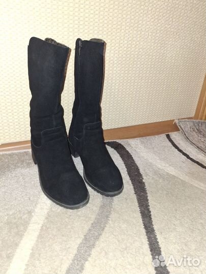 Сапоги женские замшевые