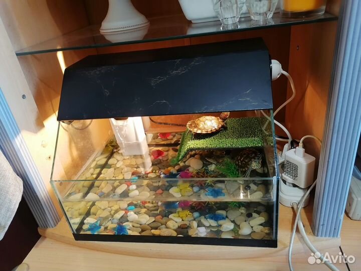 Аквариум для черепах