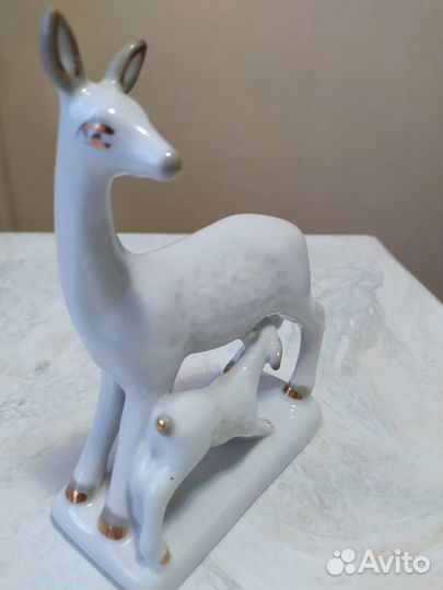 Олениха с олененком