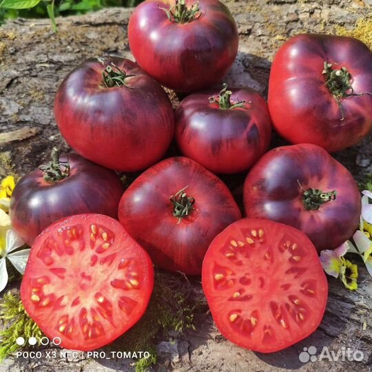 Семена редких,сортовых томатов