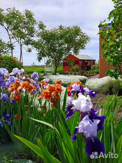 Базы отдыха рыбалка