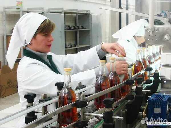 Операторы линии. Розлив вина. Дмитров