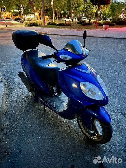 Viper Storm мопед