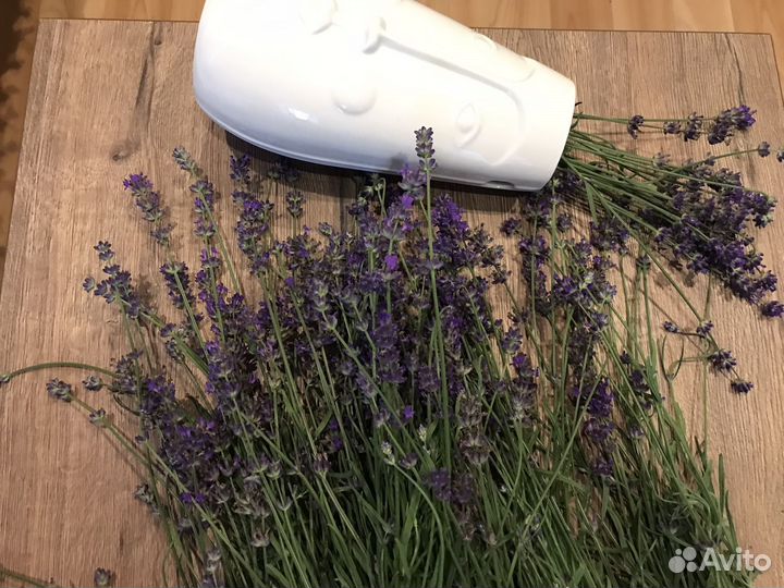 Лаванда (сухой букетик)