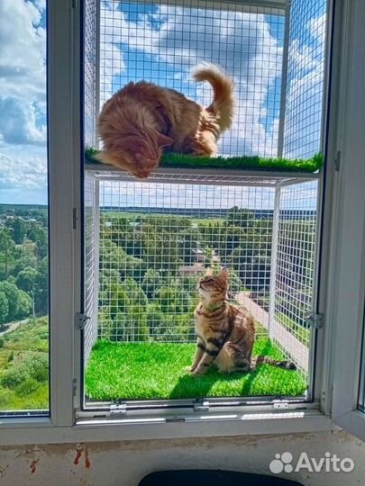 Балкон для кошек
