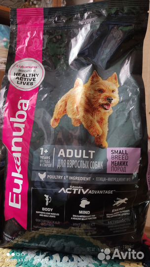 Сухой корм для собак мелких пород Eukanuba