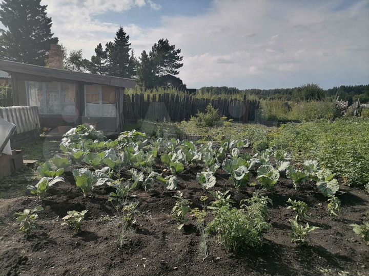 Дом 60 м² на участке 26 сот.