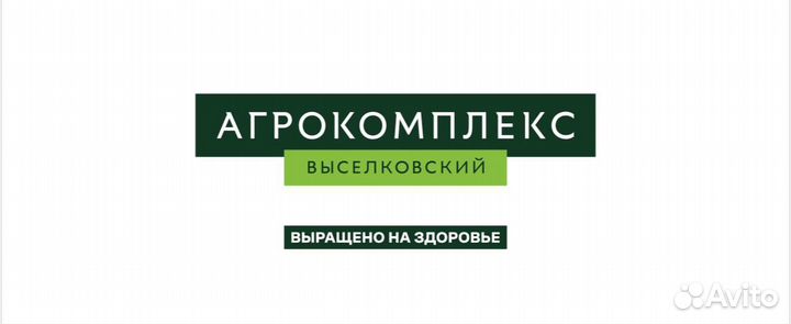 Кладовщик