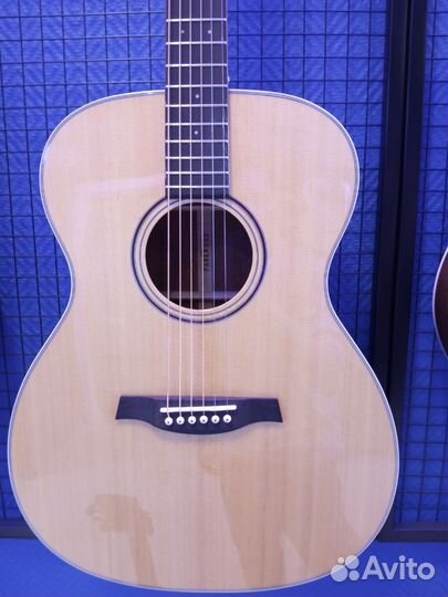 Акустическая гитара parkwood s22gt