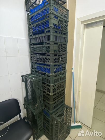 Ящики под овощи, рассаду и прочее