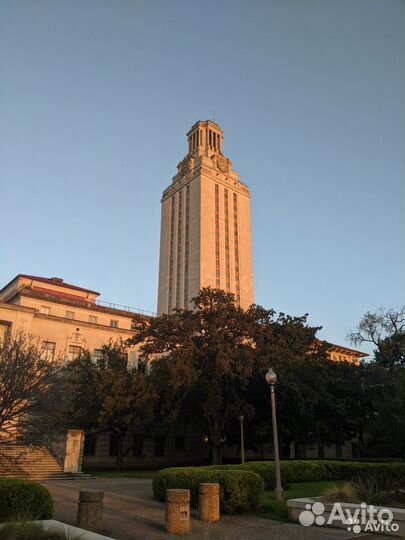 Репетитор по английскому языку (CAE, ielts, toefl)