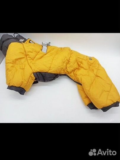 Одежда для собак