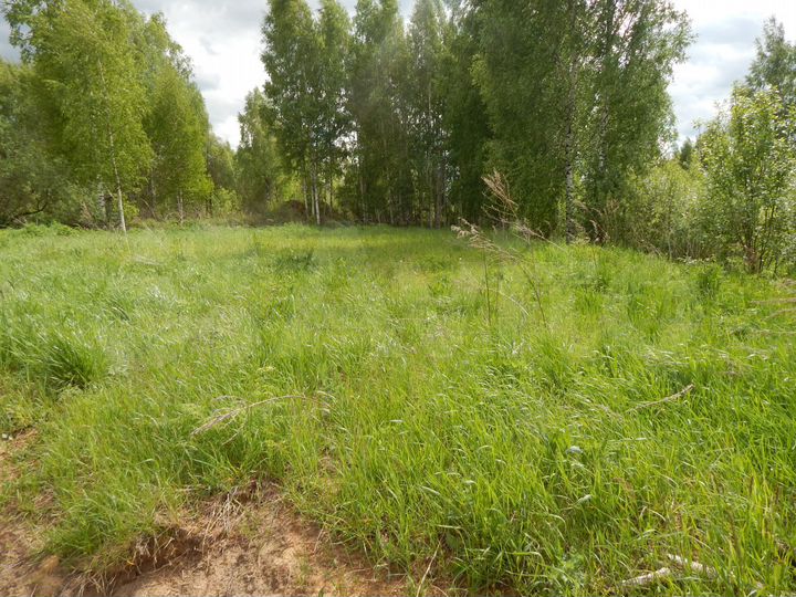 Участок 10 сот. (СНТ, ДНП)