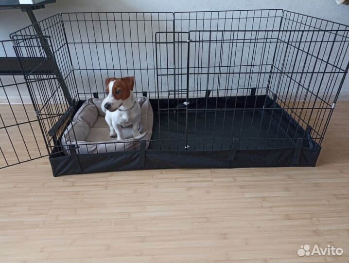 Вольер для собак