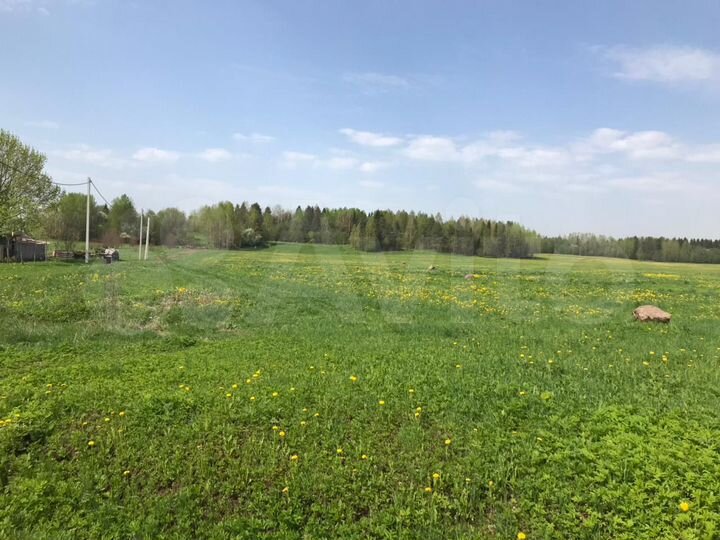 Участок 1,62 га (СНТ, ДНП)