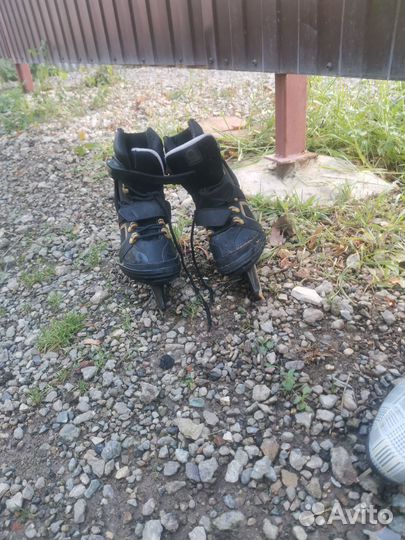 Ролики мужские