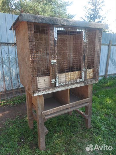 Брудер для птиц