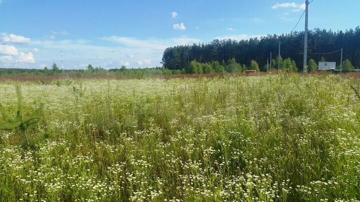 Погода першино владимирская область киржачский