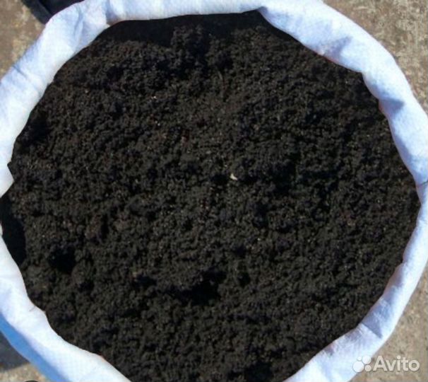 Земля чернозем