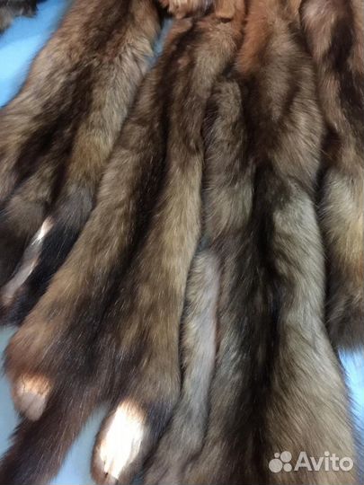 Шкурки Соболь продажа