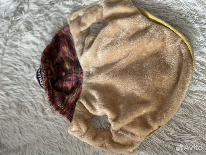 Одежда для собак мелких пород