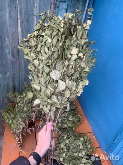 Березовые веники