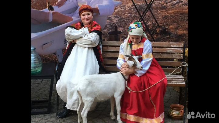 Аренда животных: козы, кролики, куры