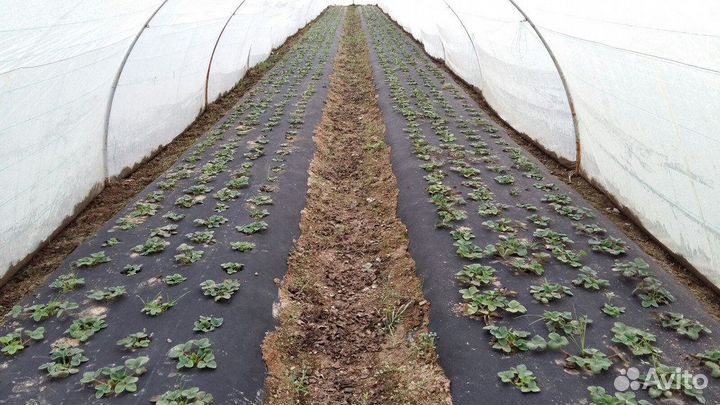 Укрывной материал, спанбонд, геотекстиль