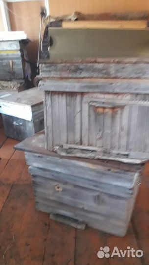 Улья и магазины