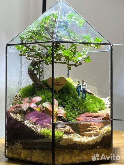 Флорариум экосистема бонсай