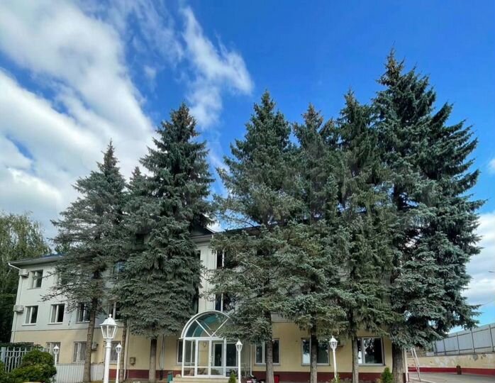 Офисные помещения
