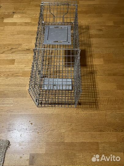 Клетка для гуманной ловли кошек