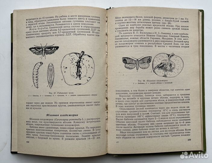 Энтомология учебник защита с/х культур