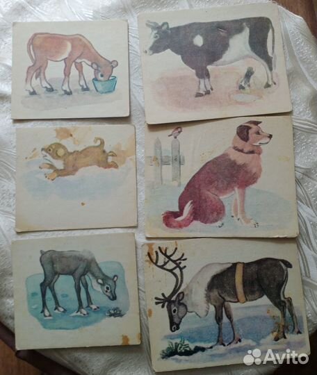 Игра СССР Животные и их детеныши