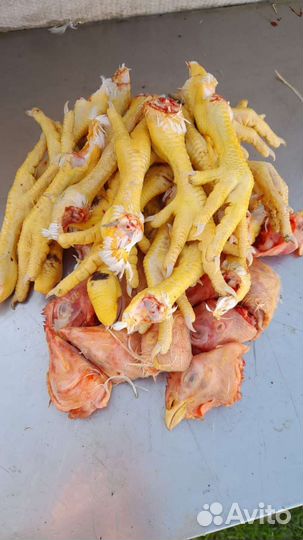 На корм животным