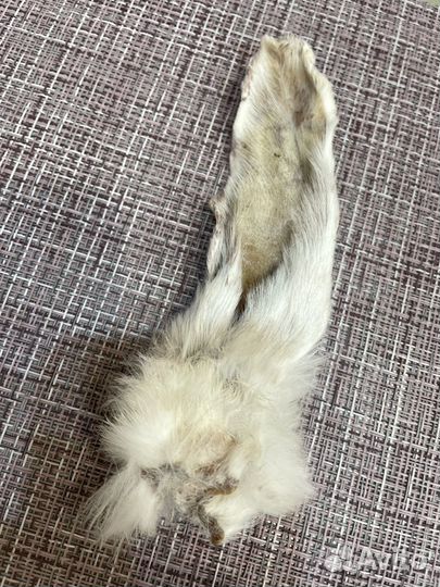 Ушки кролика сушеные