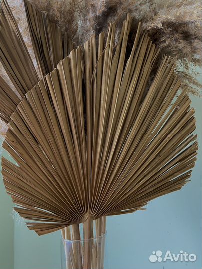 Помпасная трава ваза