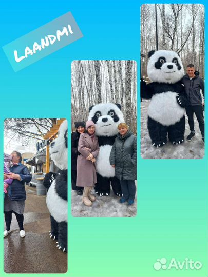 Поздравления от Панды