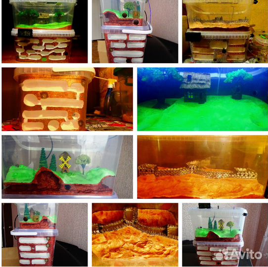 Муравьиная ферма,формикарий