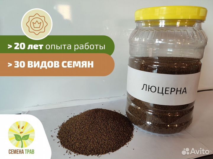 Семена люцерны