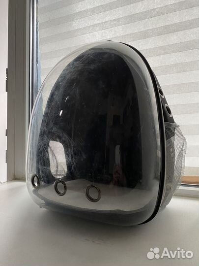 Рюкзак для кота