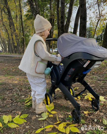 Прокат Аренда Doona автолюлька-коляска