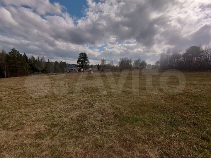 Участок 38 сот. (СНТ, ДНП)