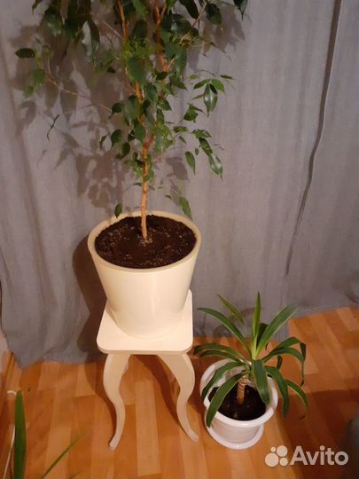 Подставка под цветы