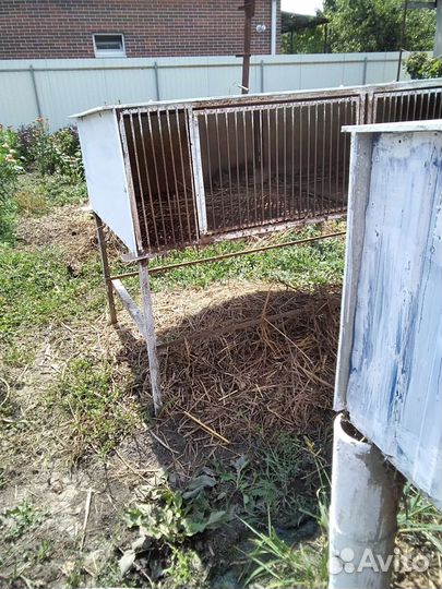 Продаю нутрий и клетки