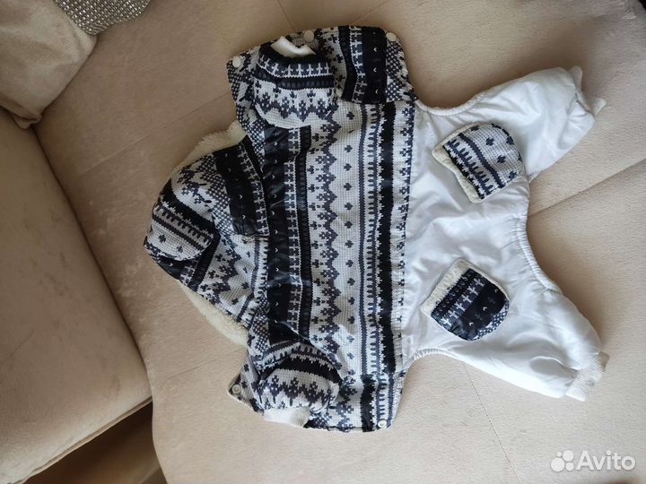 Одежда для собак