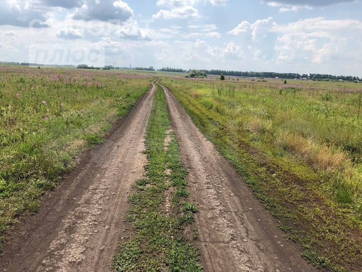 Участок 12,5 сот. (ИЖС)